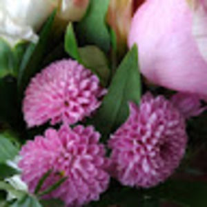 Meet your Posher, Carolina